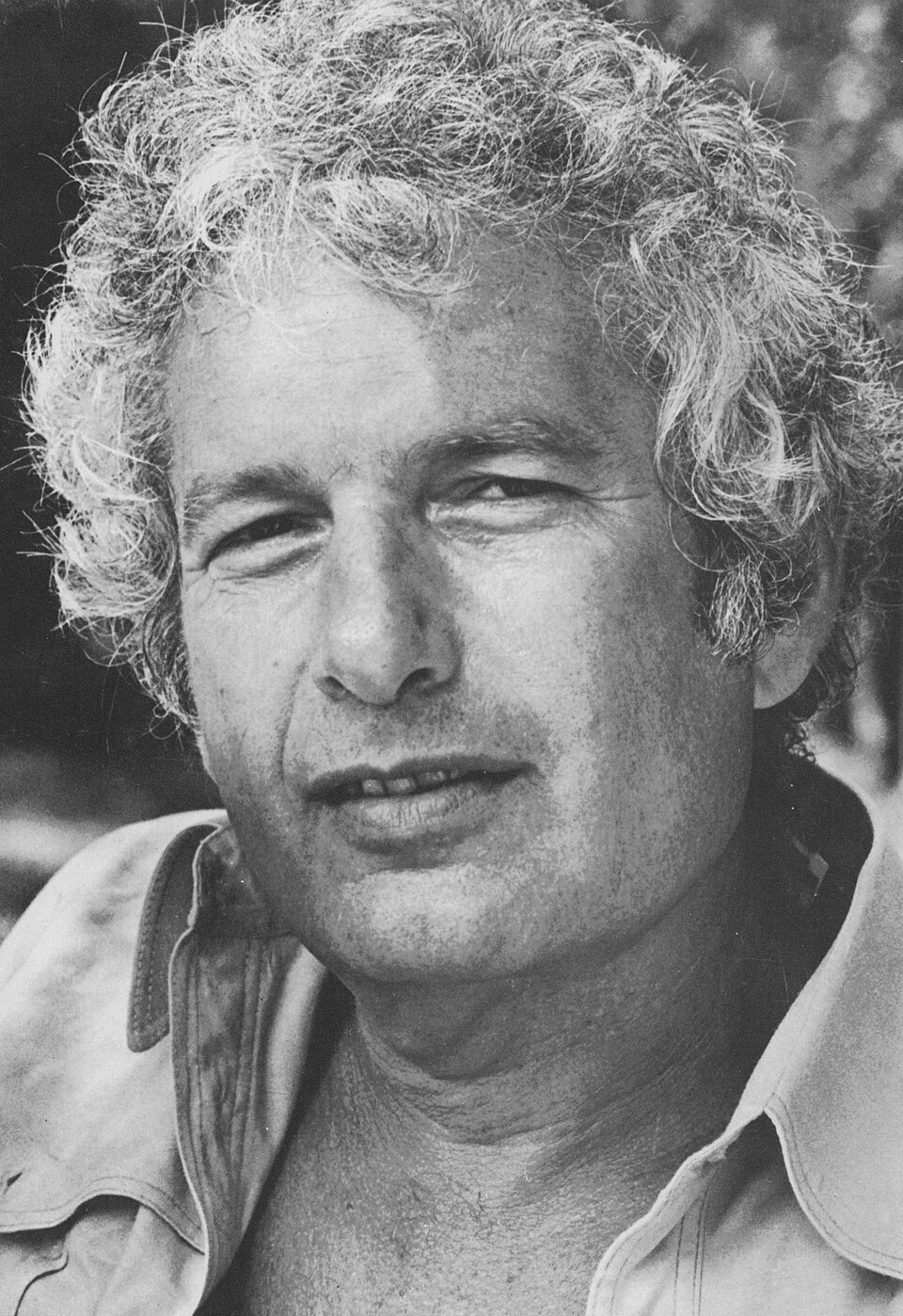 Portrait of Joseph Heller